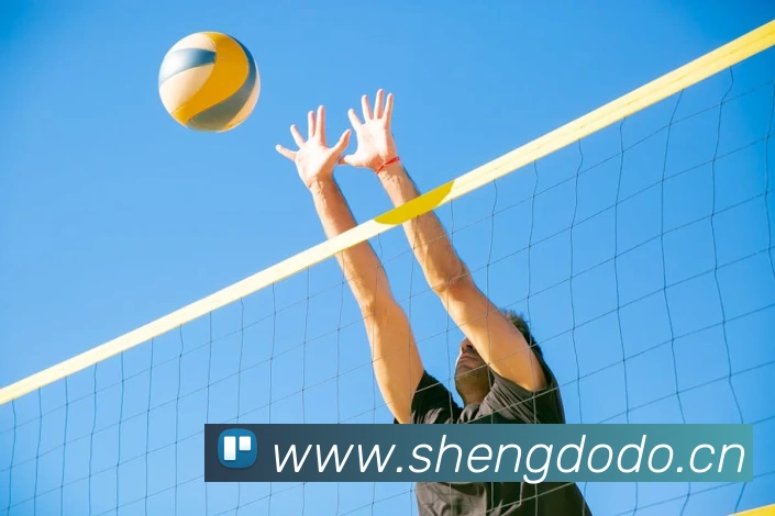 App Interface Preview